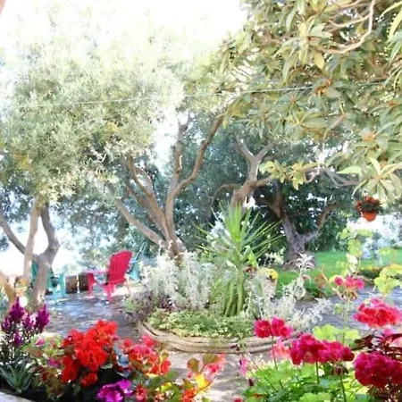 Becica * Omis